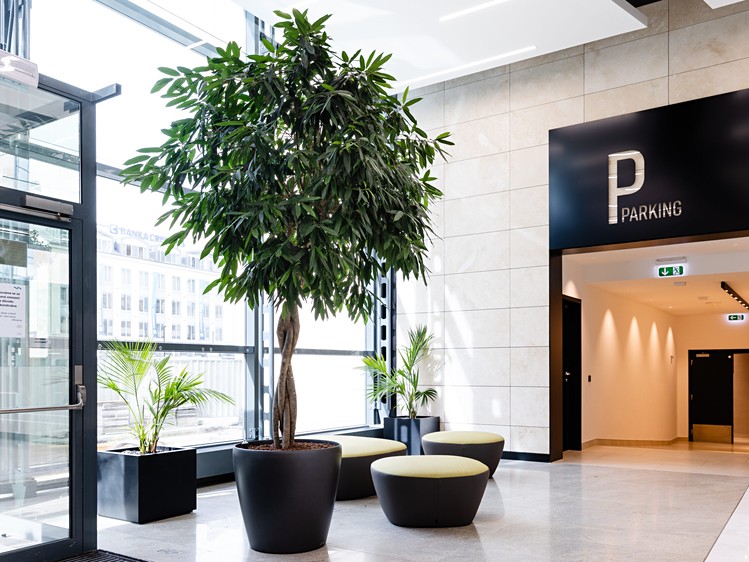 Pronájem komerčního prostoru, 329 m² (2 z 5)