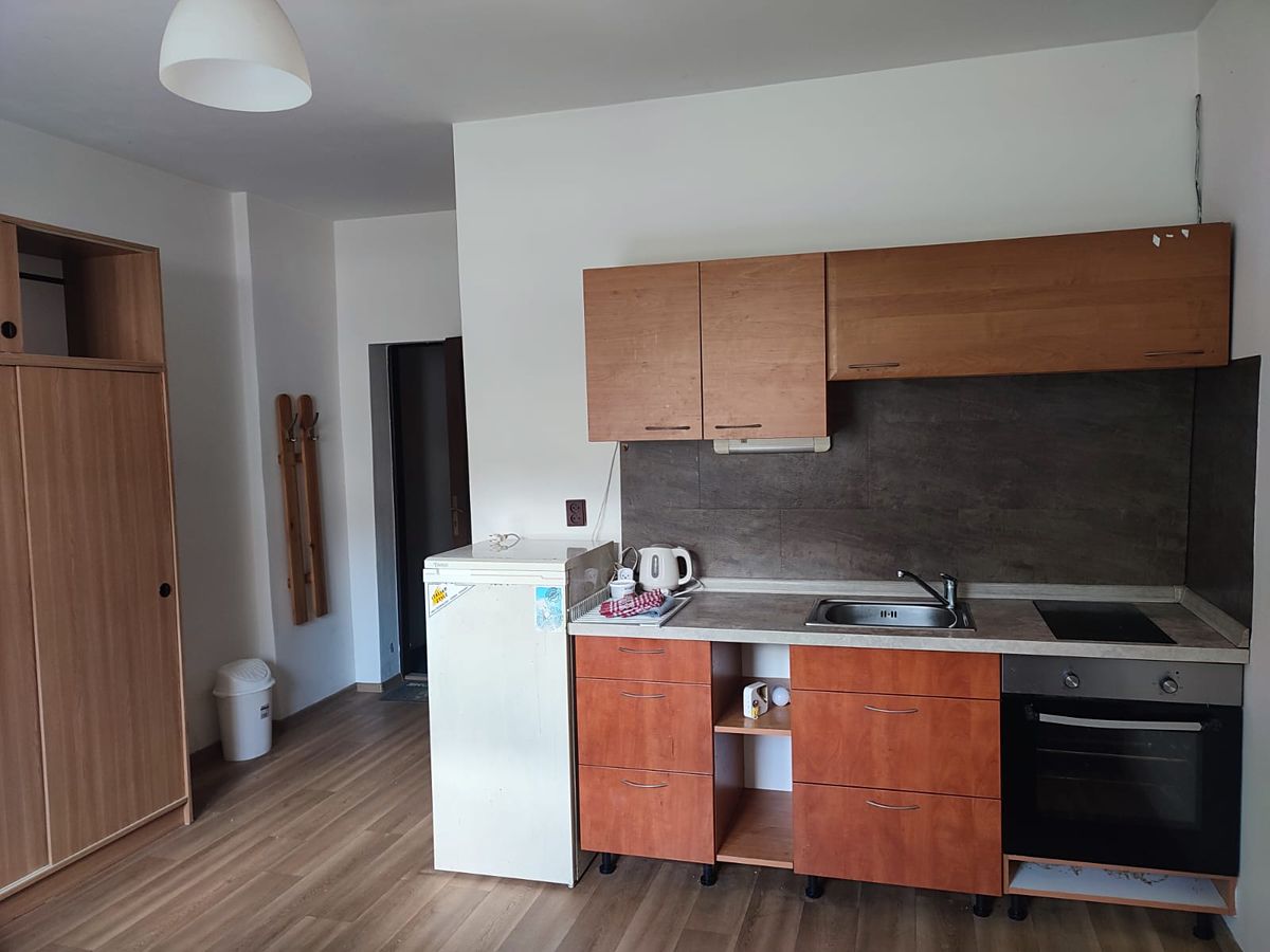Pronájem bytu 1+kk 20 m²