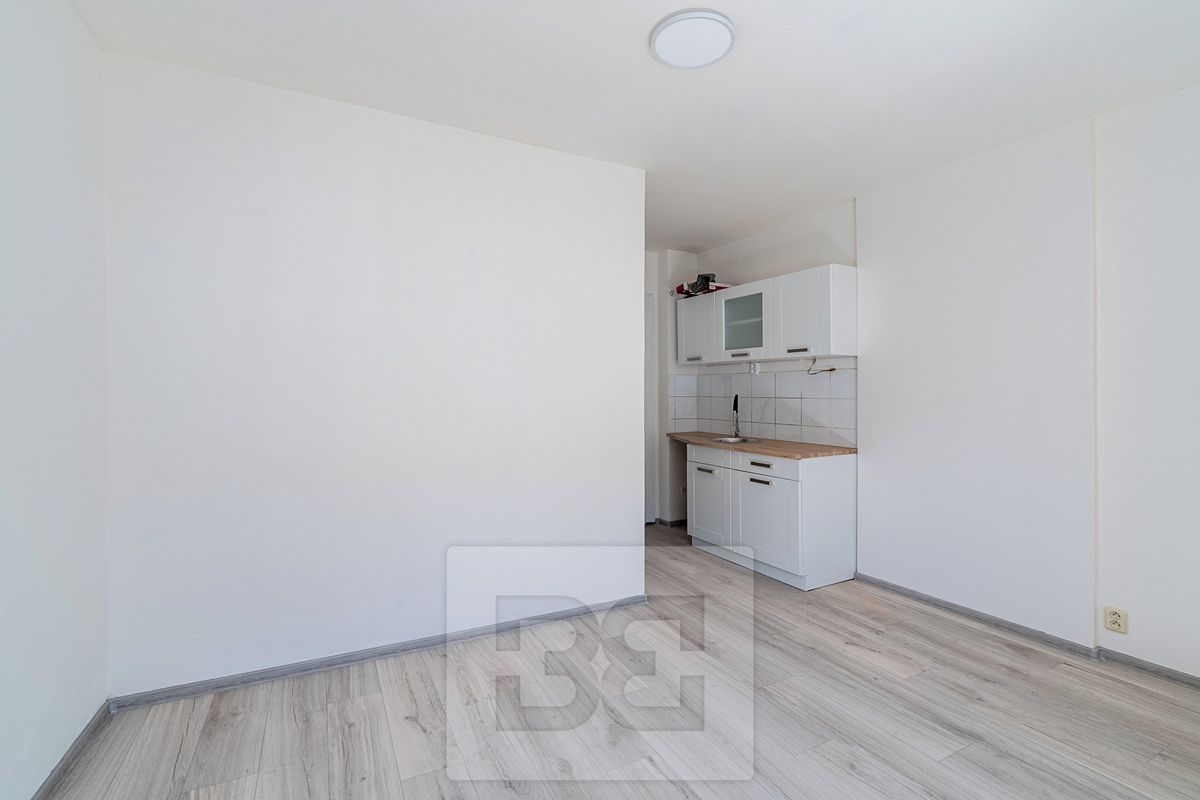 Pronájem bytu 1+kk 19 m²
