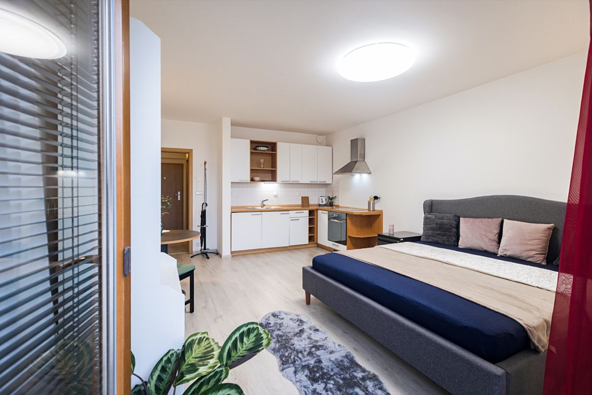 Pronájem bytu 1+kk 30 m²