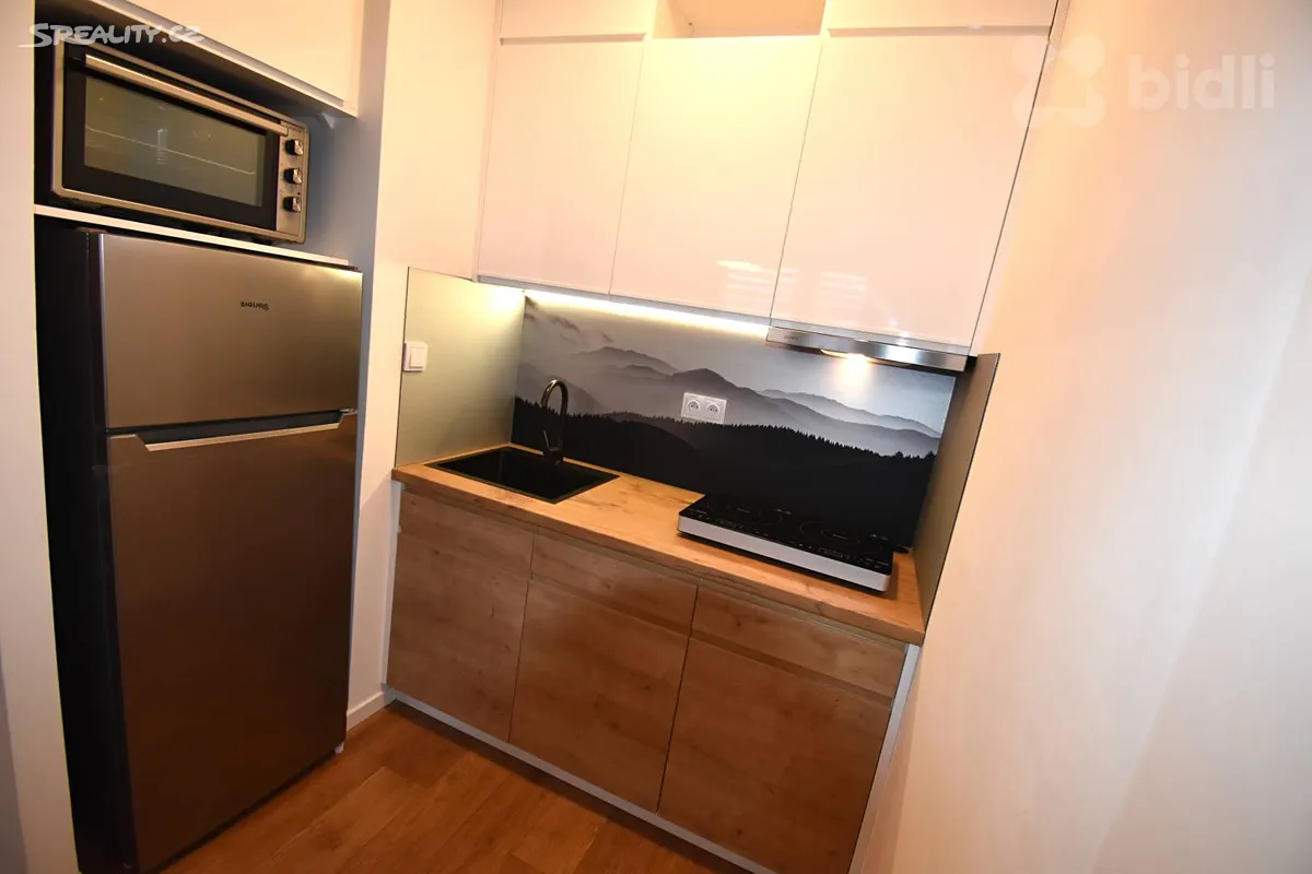 Pronájem bytu 2+kk 40 m² – pohled 5