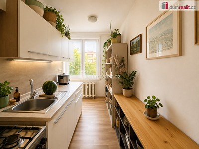 Pronájem bytu 3+1 65 m²