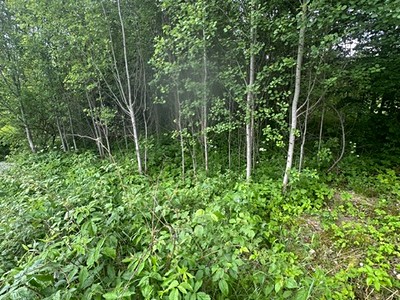 Grundstück zum Kauf, 389 m² (2 von 9)