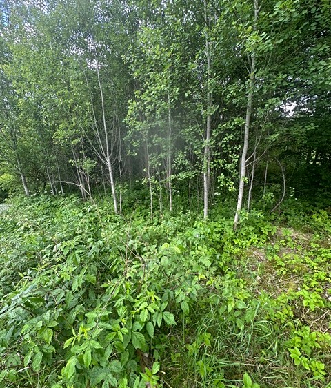 Grundstück zum Kauf, 389 m² (2 von 9)