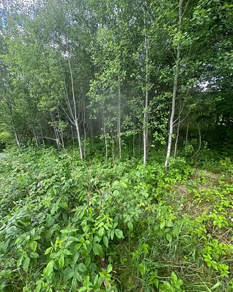 Prodej stavebního pozemku 389 m², Ktiš – náhled fotky 2