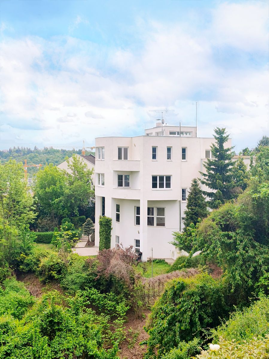 Pronájem vily 801 m², pozemek 1299 m² – fotografie 2