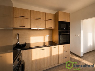 Wohnung 3+1 zur Miete, 65 m² (2 von 18)