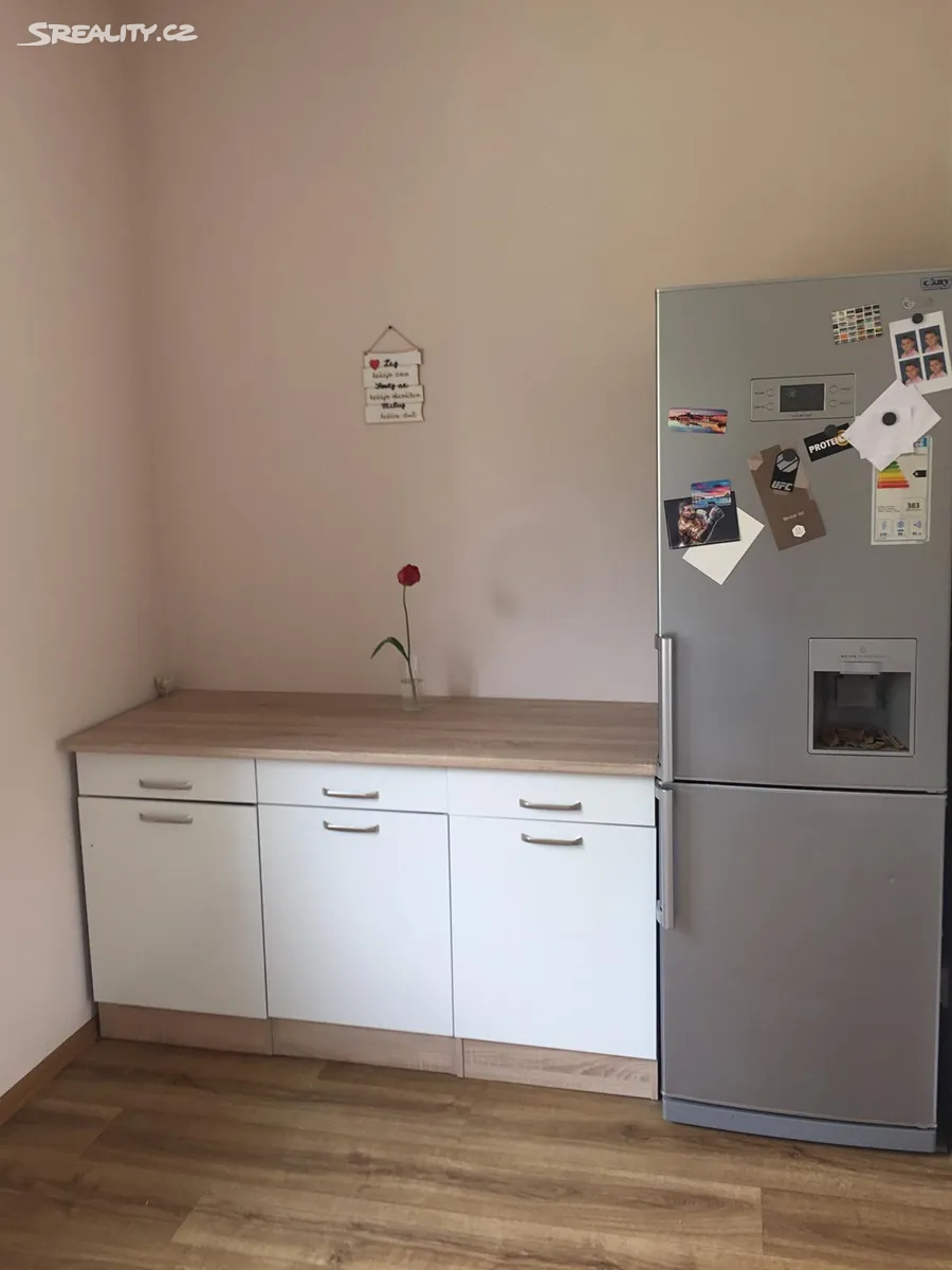 Pronájem bytu 2+1 60 m² – pohled 2
