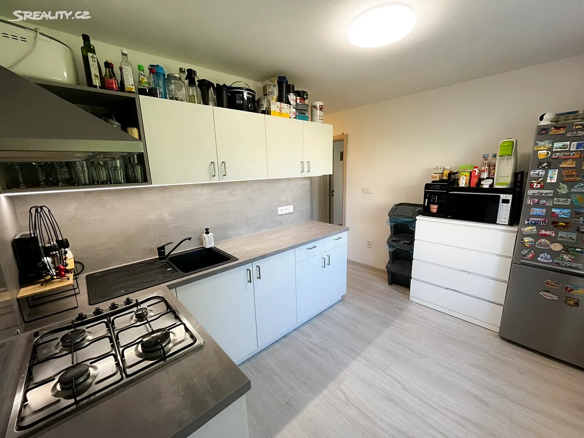 Pronájem bytu 3+1 55 m² - View 6