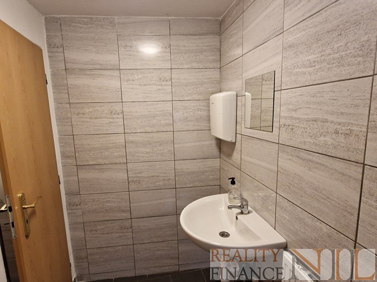 Pronájem komerčního prostoru, 79 m² (13 z 17)