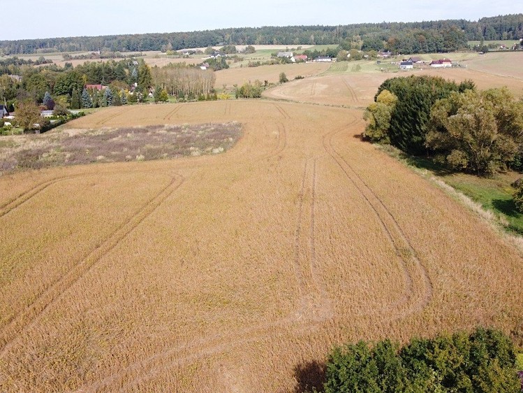 Grundstück zum Kauf, 27.614 m² (1 von 5)