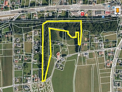 Prodej  lesa 11 962 m²