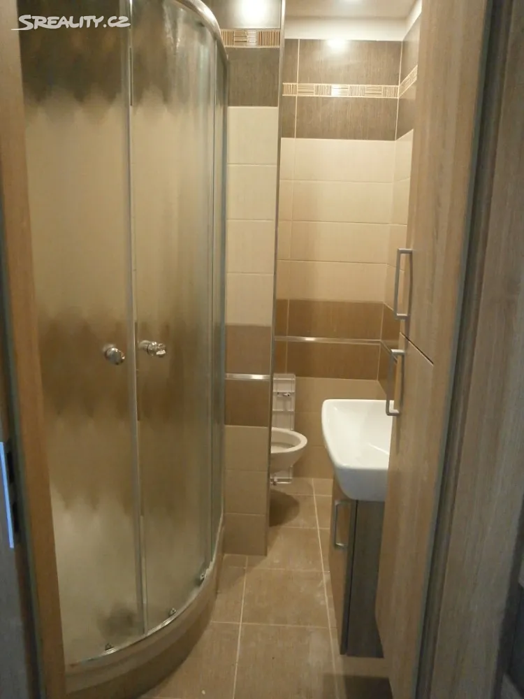 Pronájem bytu 1+1 38 m² – další