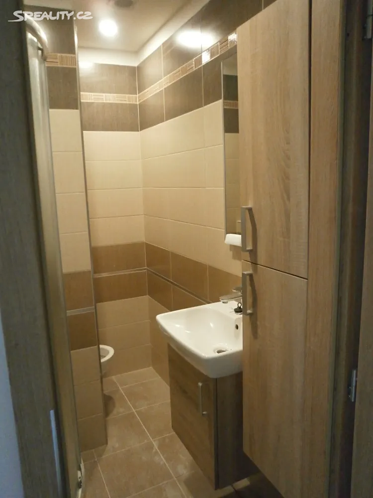 Pronájem bytu 1+1 38 m² – pohled 6