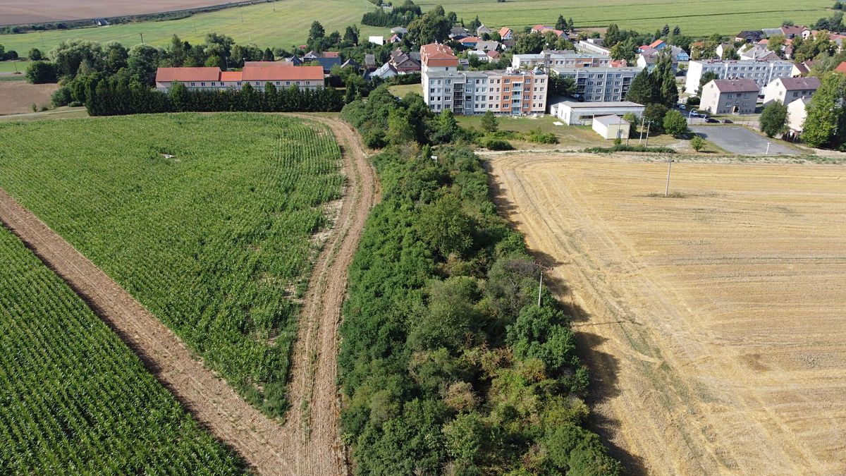 Prodej pole 6167 m² – fotografie 2