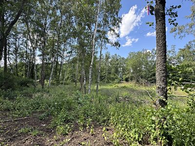 Prodej pozemku 3000 m²