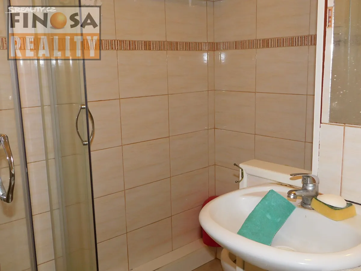 Pronájem bytu 1+1 35 m² – pohled 5
