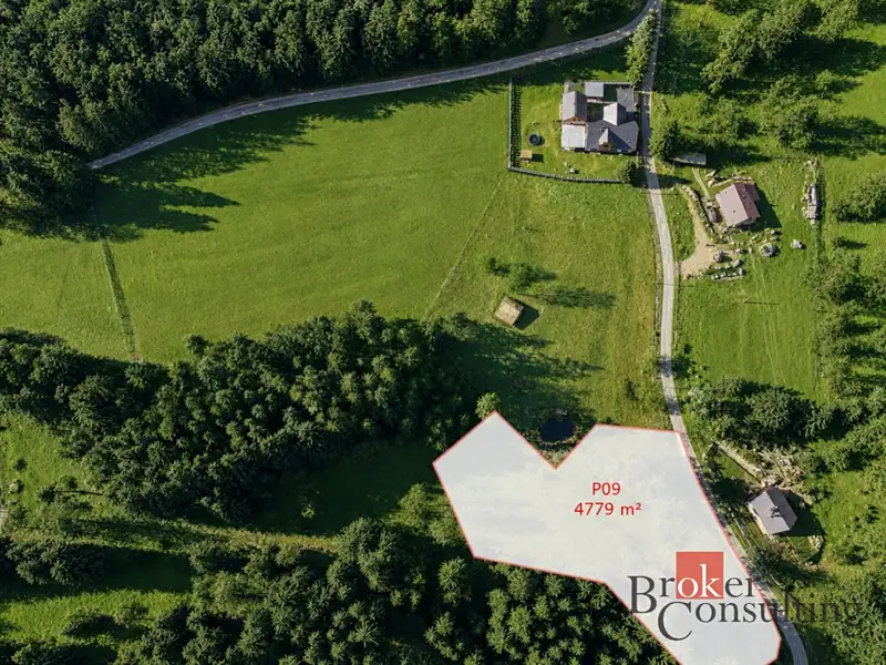 Prodej stavebního pozemku 4779 m², Nejdek – náhled fotky 1