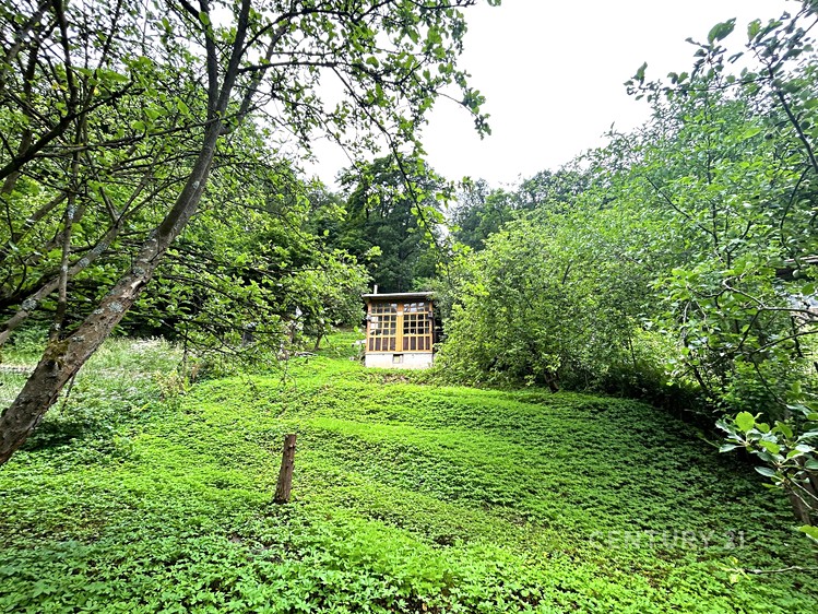 Ostatní