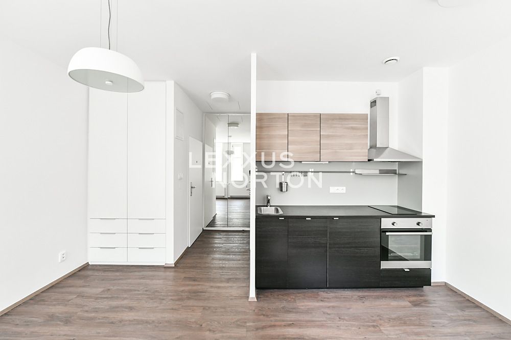 Pronájem bytu 1+kk 30 m²
