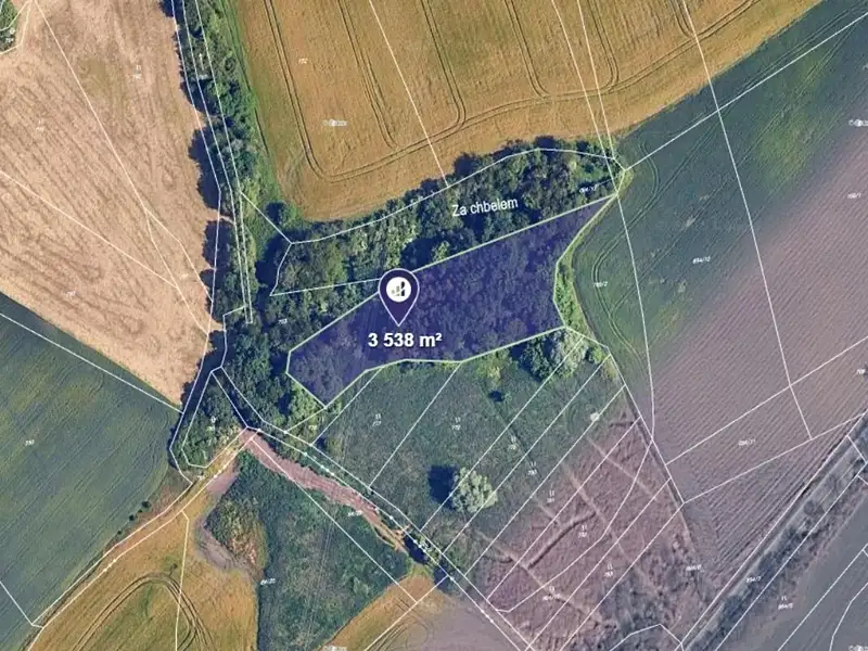 Prodej pozemku 4054 m², Dolany – náhled fotky 1