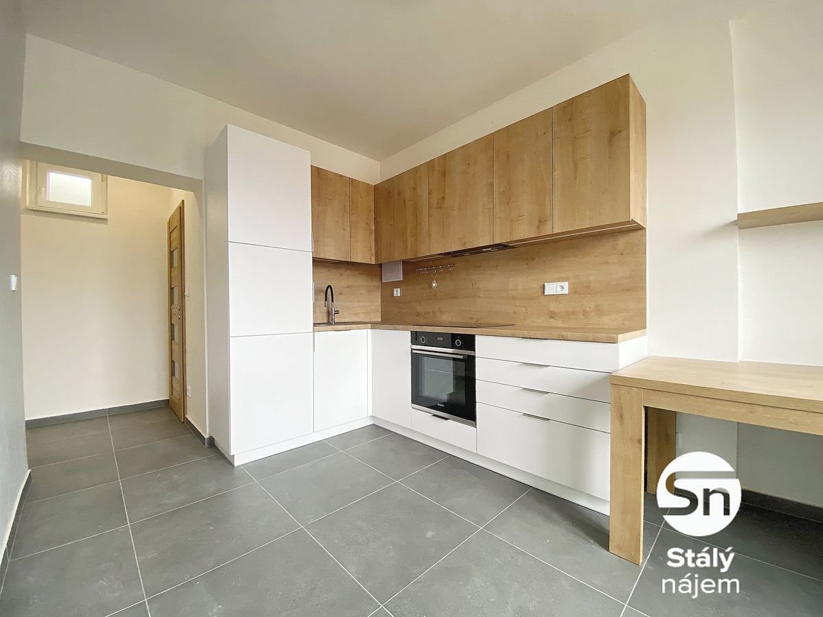 Pronájem bytu 1+1 48 m²