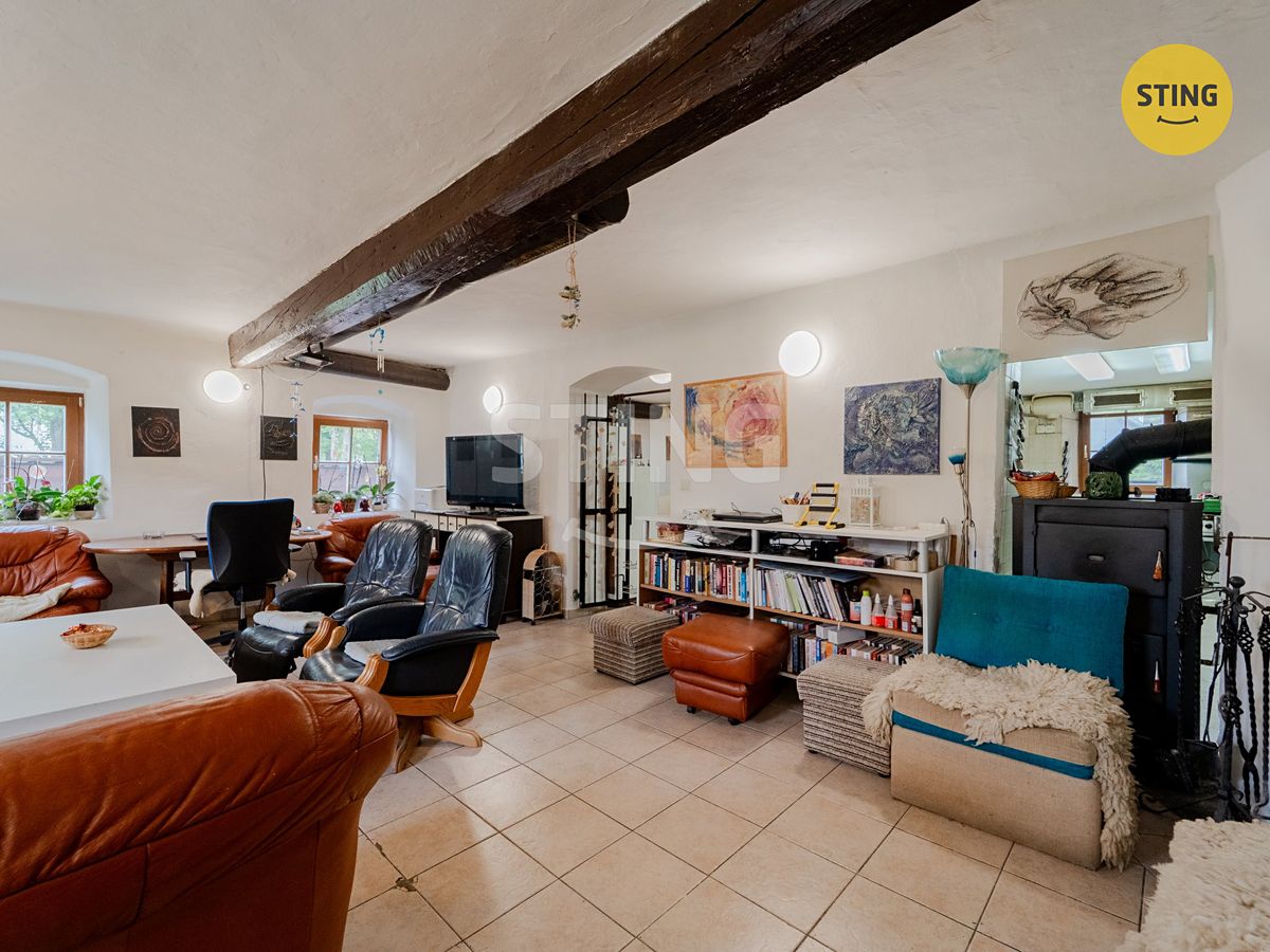 Prodej rodinného domu 480 m², pozemek 2960 m² – fotografie 4