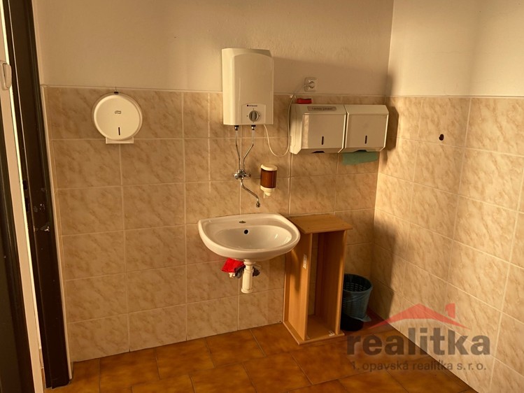 Комерційне приміщення в оренду, 220 м² (7 з 15)