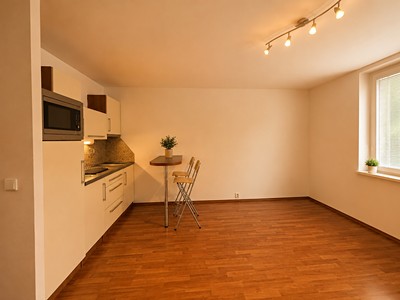 Prodej bytu 1+kk, 31 m² (3 z 17)