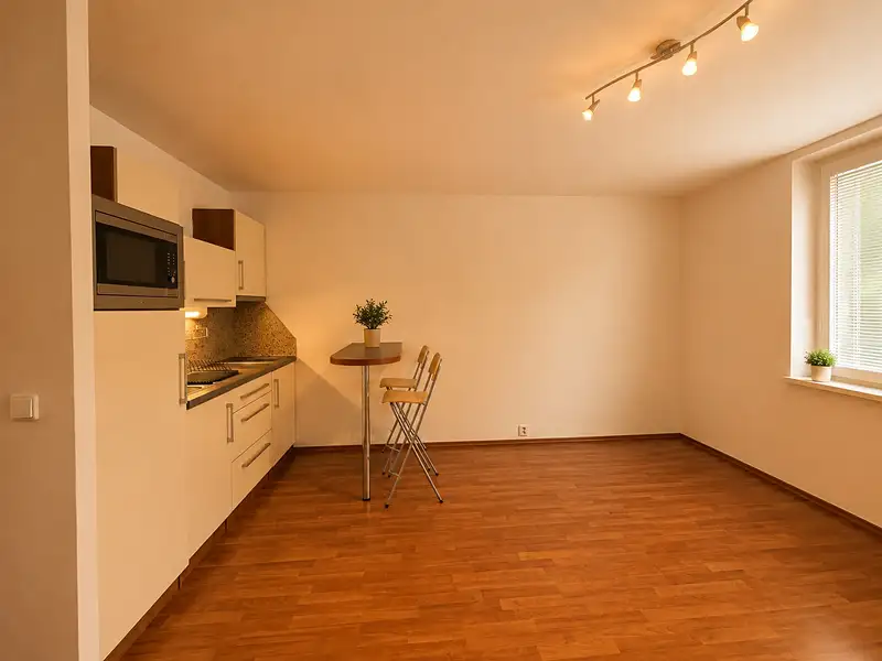 Prodej bytu 1+kk 31 m², Brno – náhled fotky 3
