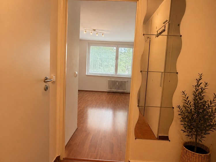 Prodej bytu 1+kk, 31 m² (12 z 17)