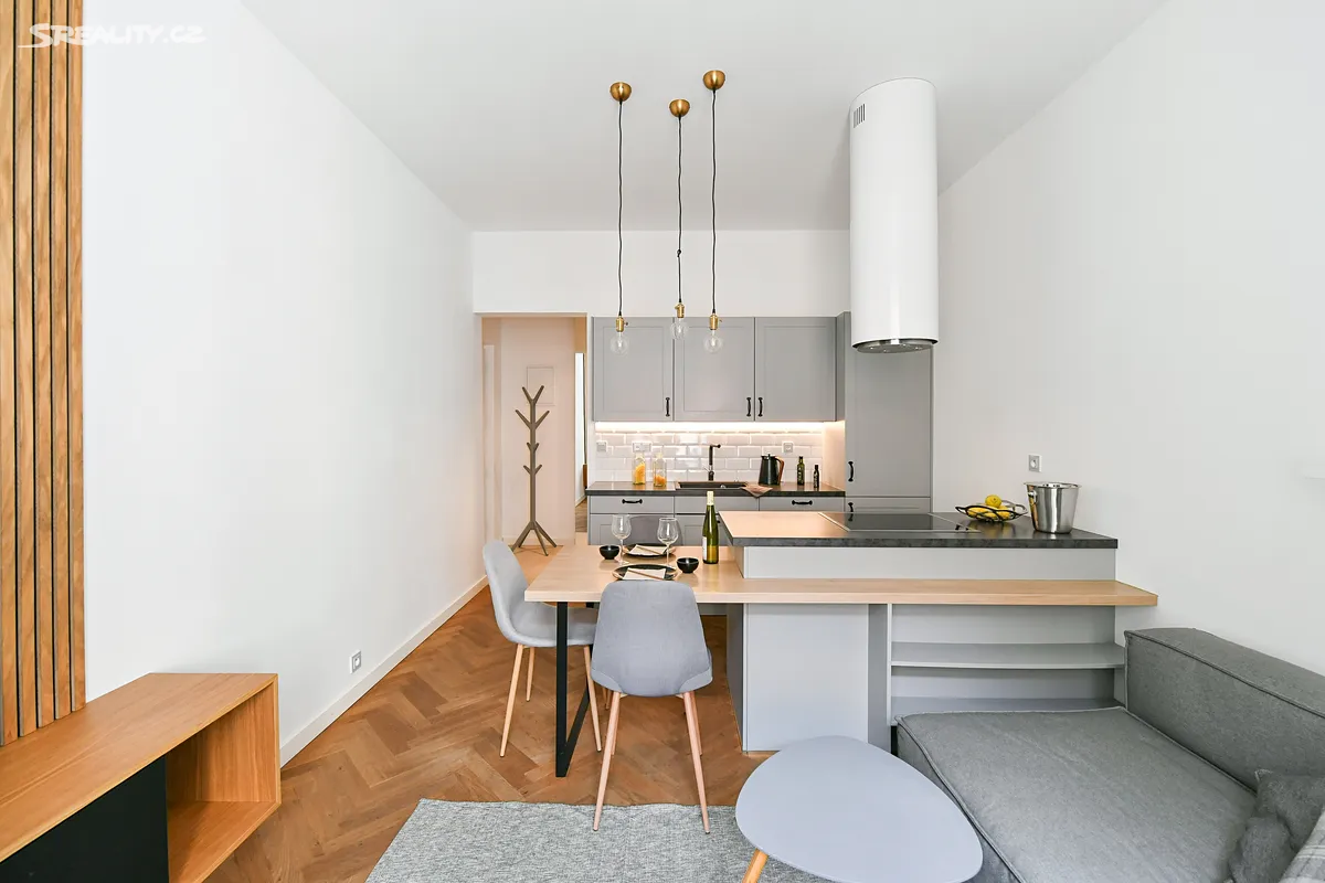 Pronájem bytu 2+kk 46 m² – pohled 4