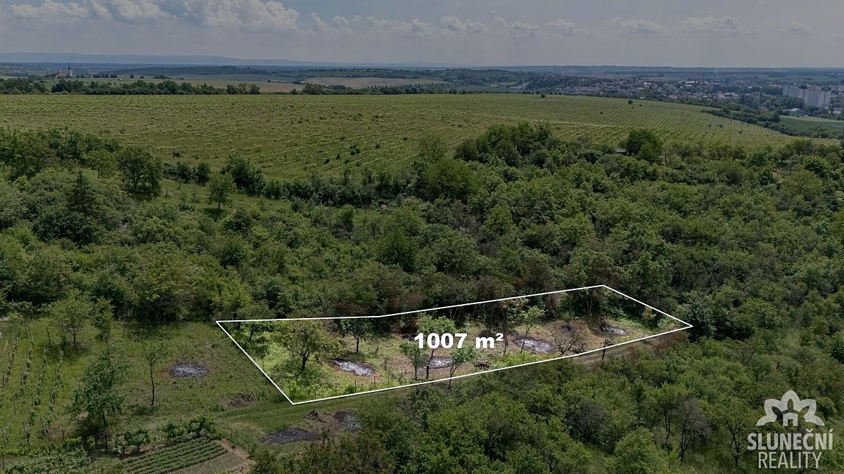 Prodej zahrady 1007 m² – fotografie 2
