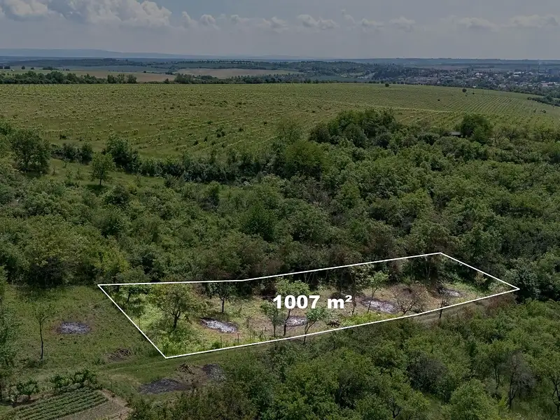 Prodej zahrady 1007 m², Kyjov – náhled fotky 2