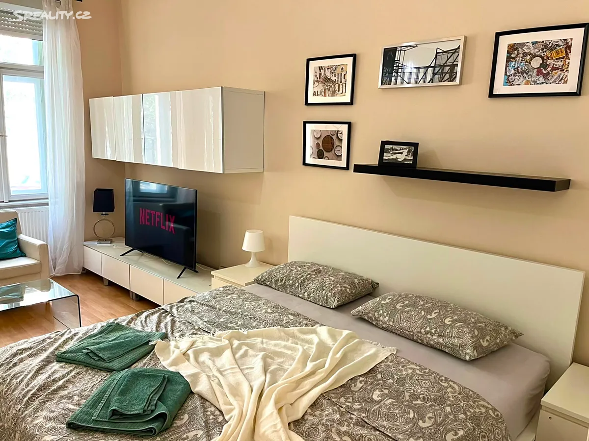 Pronájem bytu 1+1 55 m² – další