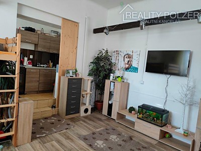 Pronájem bytu 1+1 40 m²