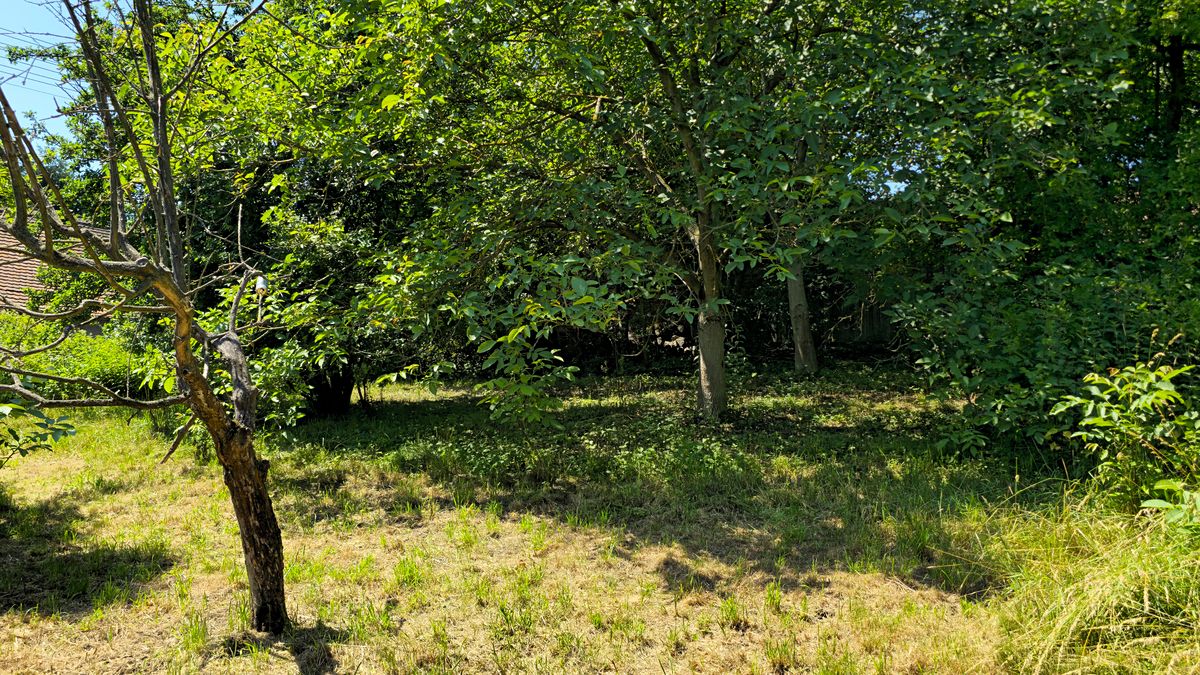 Prodej stavebního pozemku 998 m²