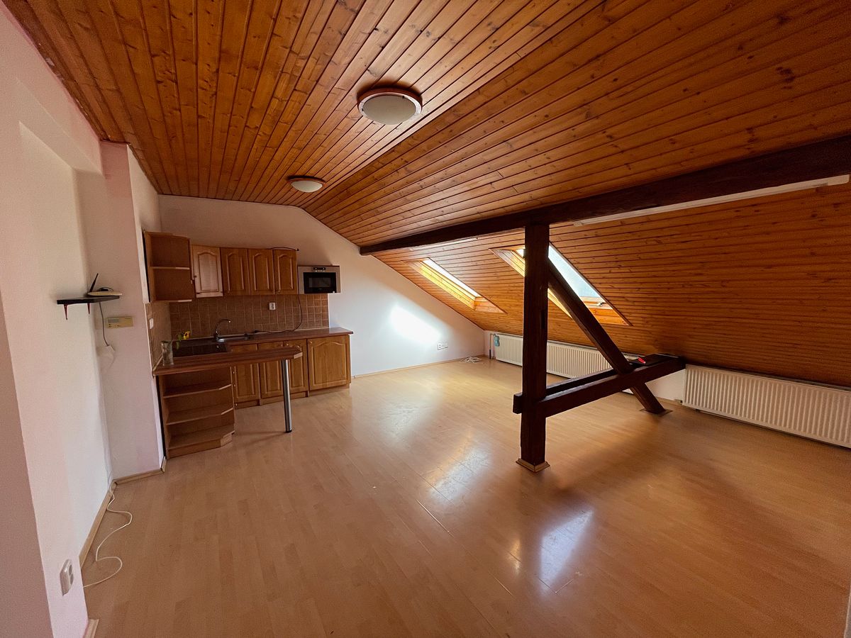 Pronájem bytu 1+kk 40 m²