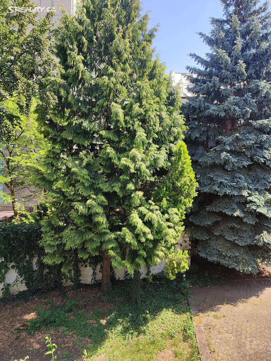 Prodej bytu 2+kk 44 m² - Widok 4