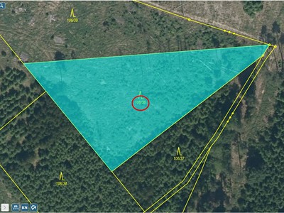 Prodej  lesa 3 892 m²