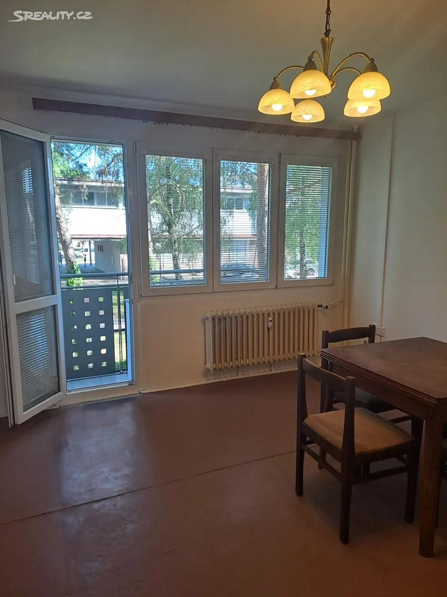 Pronájem bytu 3+1 64 m², Severní