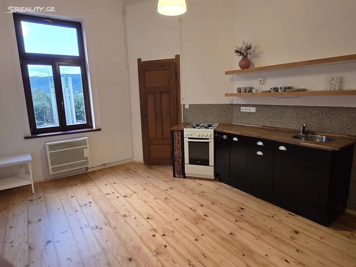 Pronájem bytu 1+1 49 m² – pohled 5