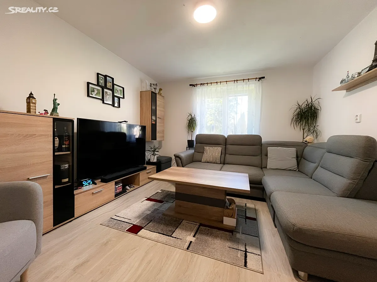 Pronájem bytu 3+1 55 m² - View 3