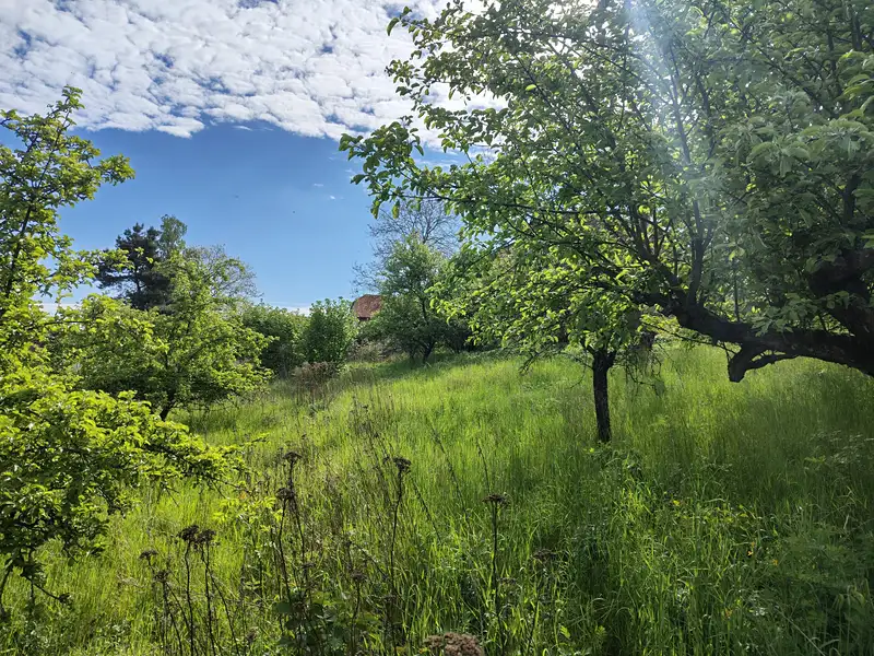 Prodej stavebního pozemku 1017 m², Křivoklát – náhled fotky 3