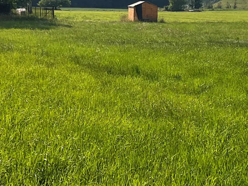 Prodej stavebního pozemku 1288 m², Dobrá – náhled fotky 1