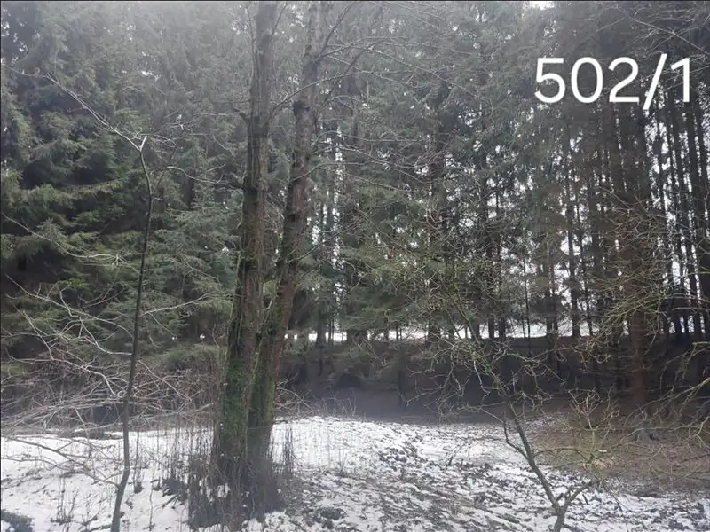 Prodej lesa 985 m², Hojovice – náhled fotky 1
