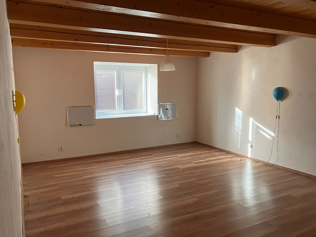 Prodej vícegeneračního domu 418 m², pozemek 1913 m² – fotografie 4