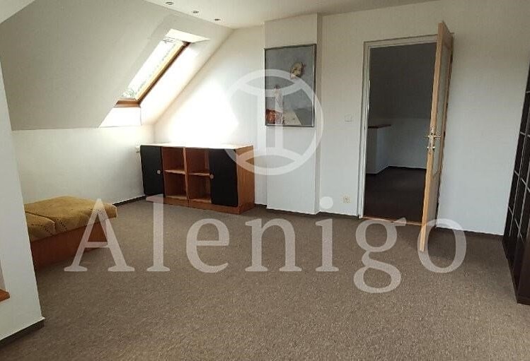 Haus zum Kauf, 275 m² (9 von 17)