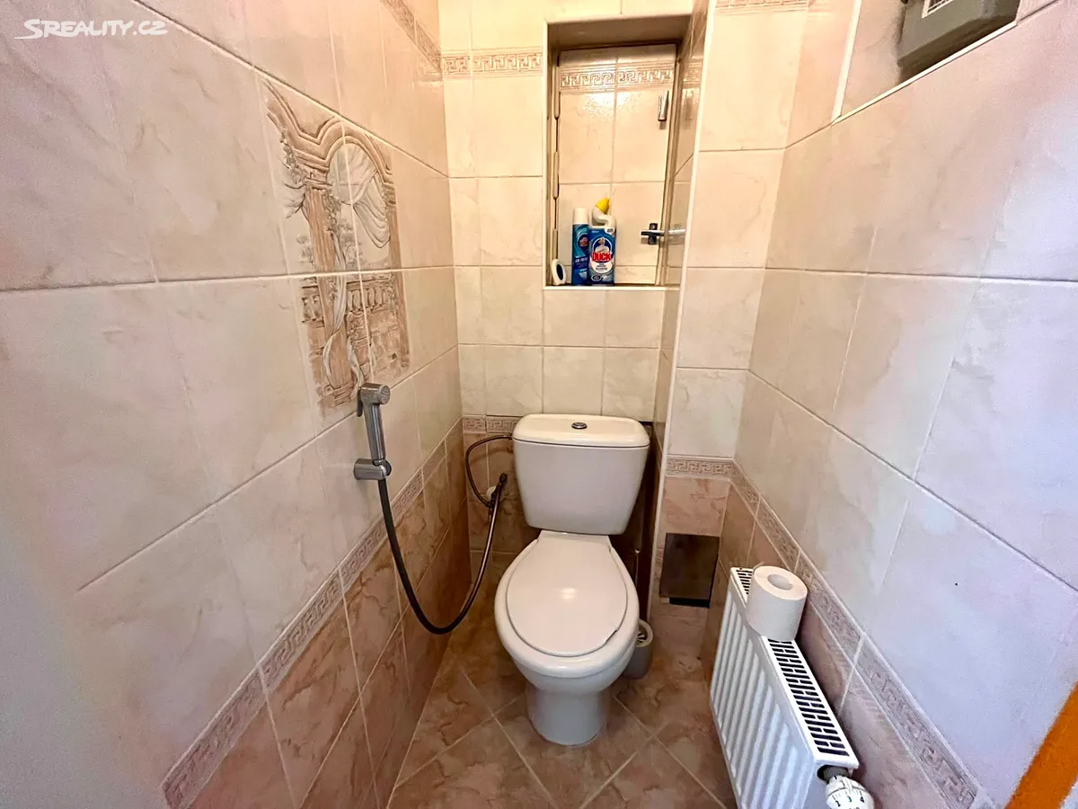 Pronájem bytu 1+1 55 m² – pohled 5