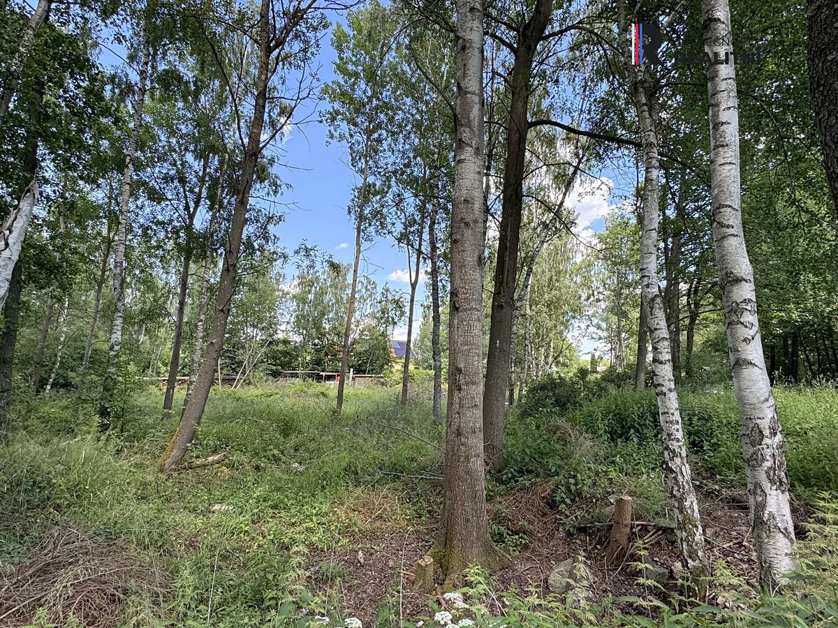 Prodej pozemku 3000 m² – fotografie 2